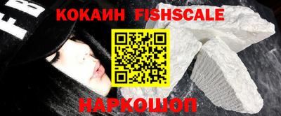крисы Коммунар